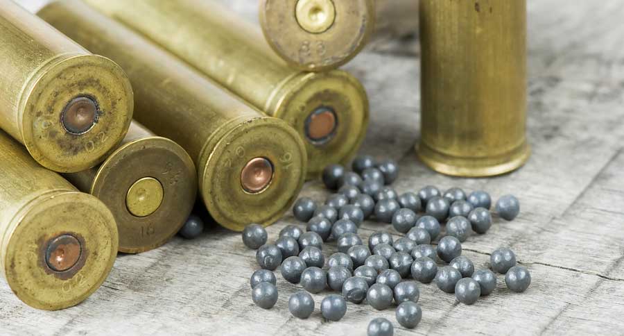 lead ammo ban