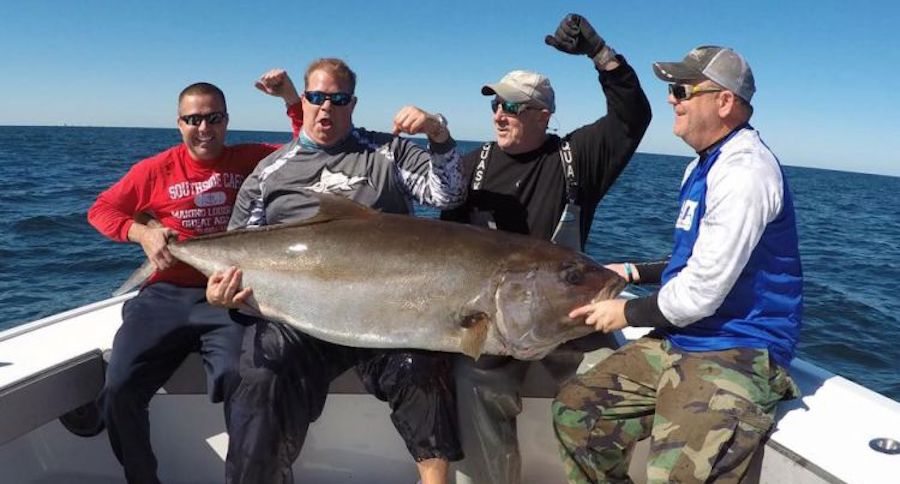 Louisiana state record amberjack