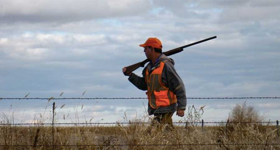 pheasant hunter