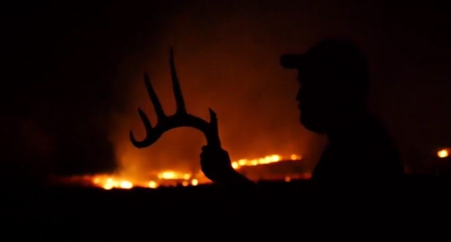 shed hunting white gold