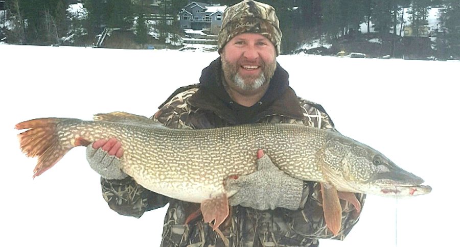 Idaho northern pike