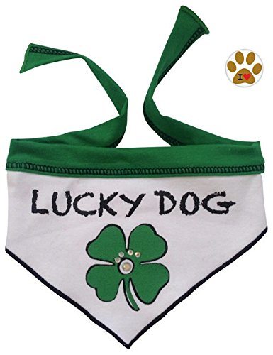 Lucky Dog Studded Clover Bandana Scarf with Pin