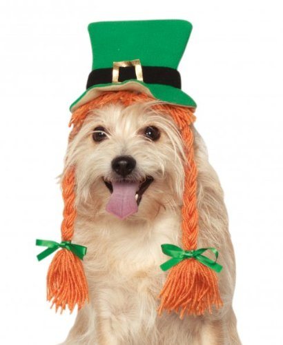 Dog with braids and a green hat