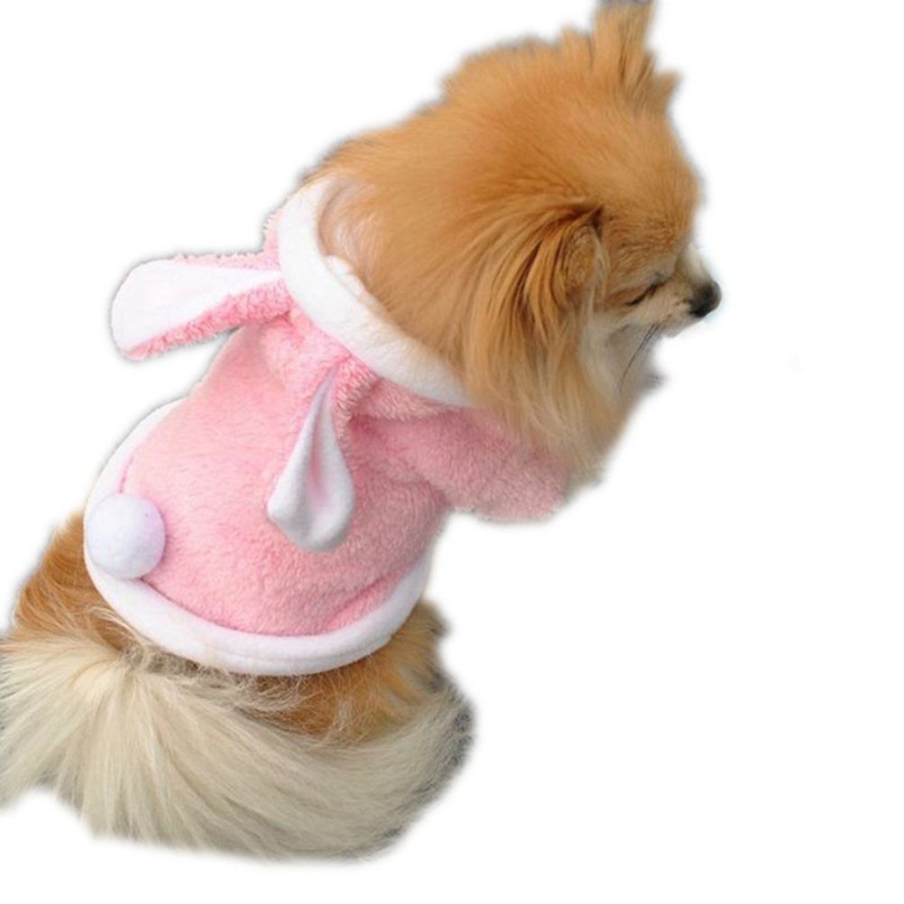 dog bunny vest