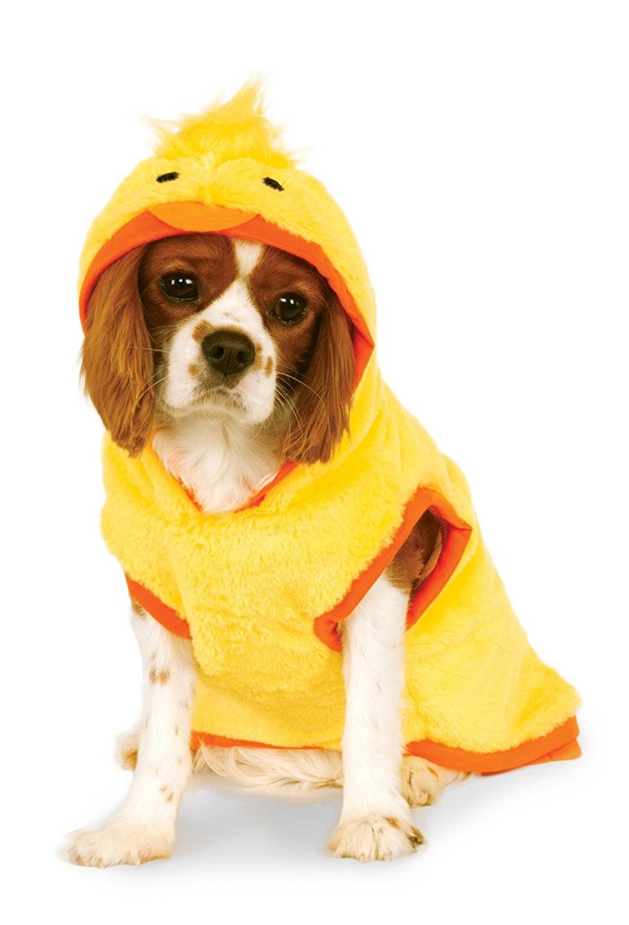 duck costume for dogs