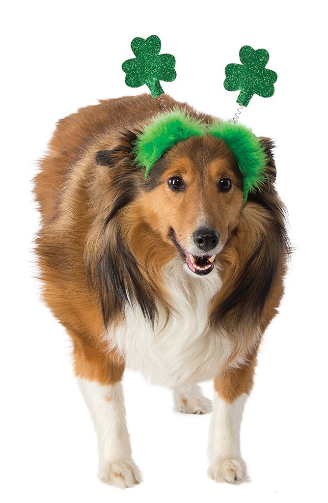 Dog with green clover headband