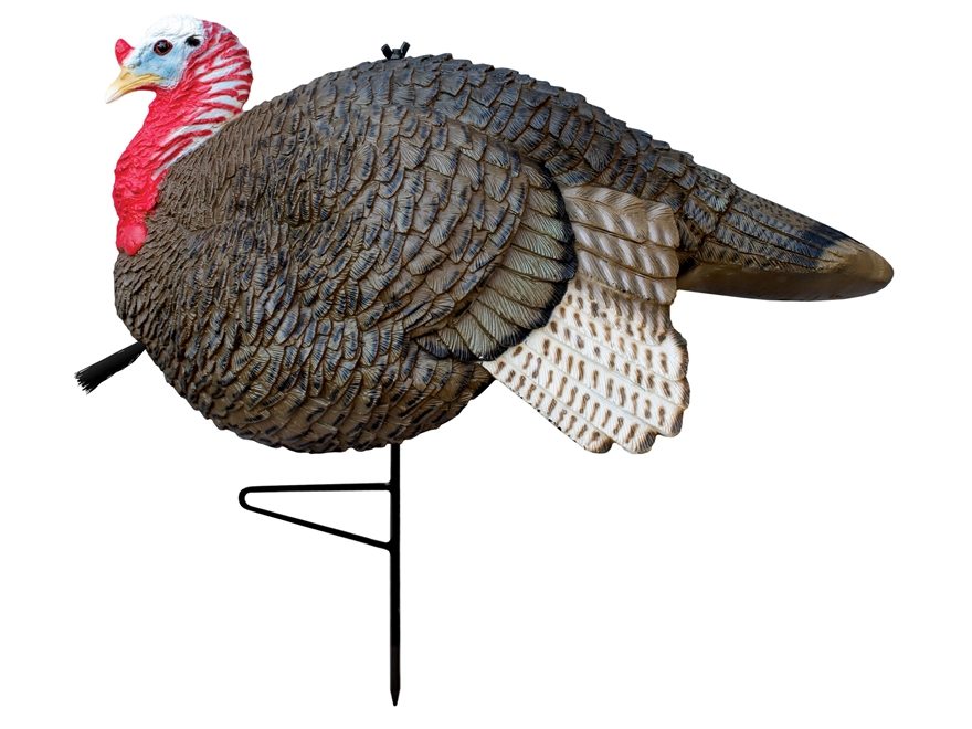 turkey decoy 