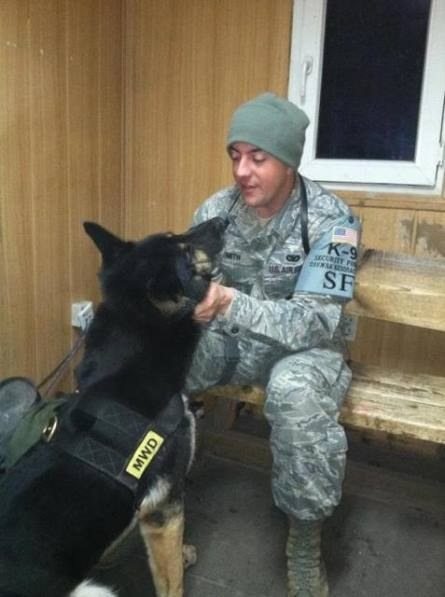 German Shepherd and soldier