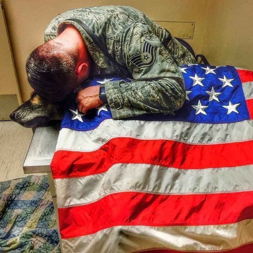 soldier with dog and american flag