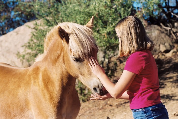 Young girl petting horse while feeding it a treat