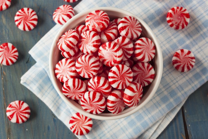 Sweet Red and White Peppermint Candy in a Bowl