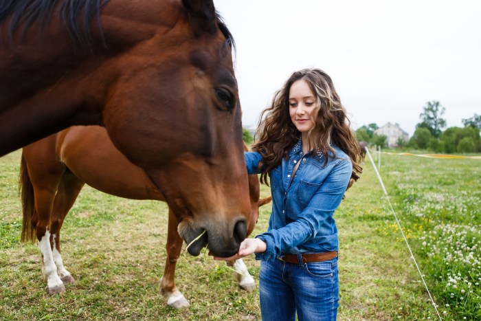 Young beautiful girl feeding a horse at summer time