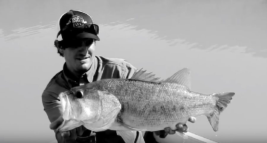 Bass Fly Fishing Tips and Techniques