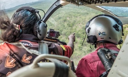 Kakadu Cull