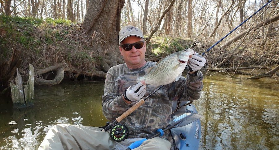 white bass run