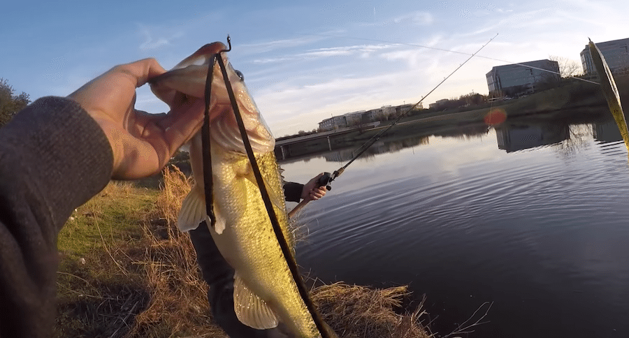 bass fishing