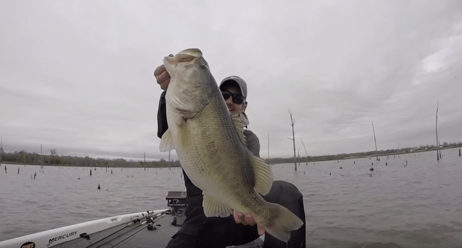 late winter bass
