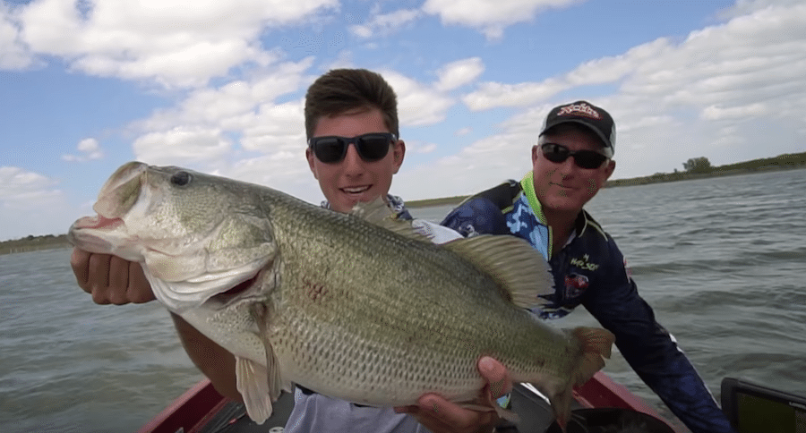 bass in mexico