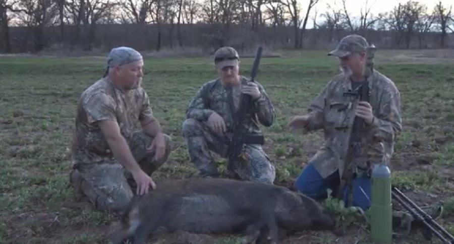 hogzombies share secret techniques