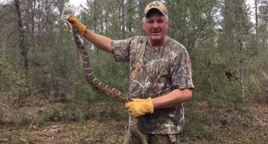watch your step in rattlesnake country