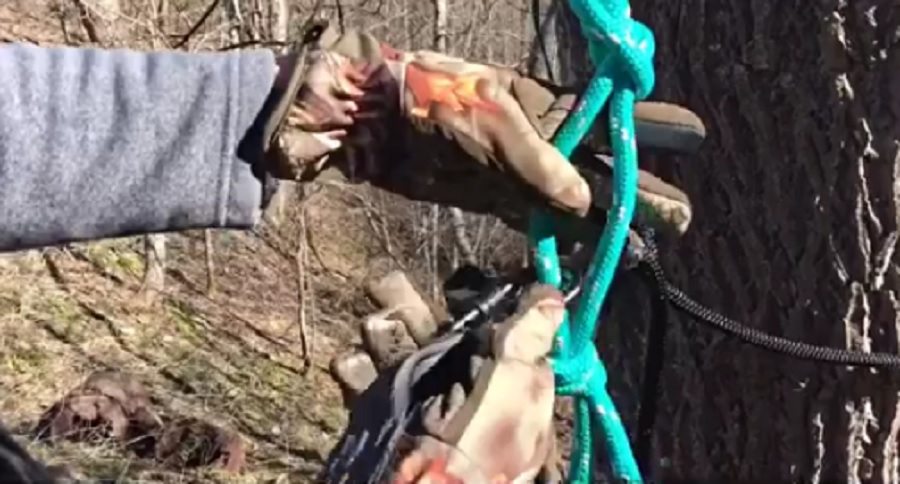diy deer stand safety line