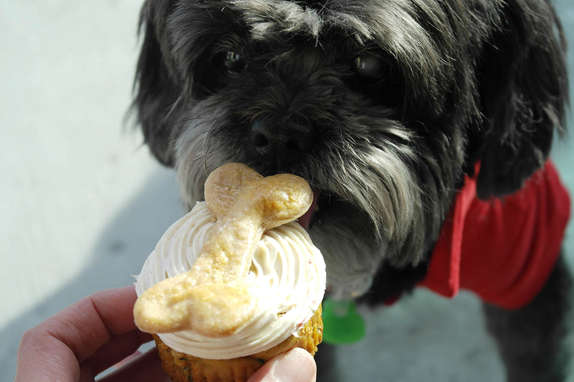 dog and cupcake
