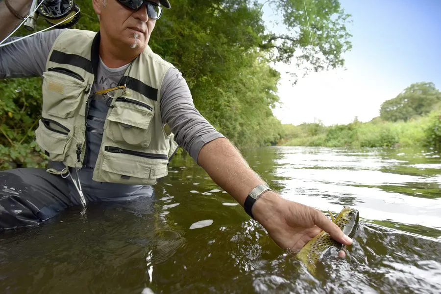 Fly fisherman catching brown trout in river