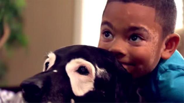 boy and dog with same skin condition