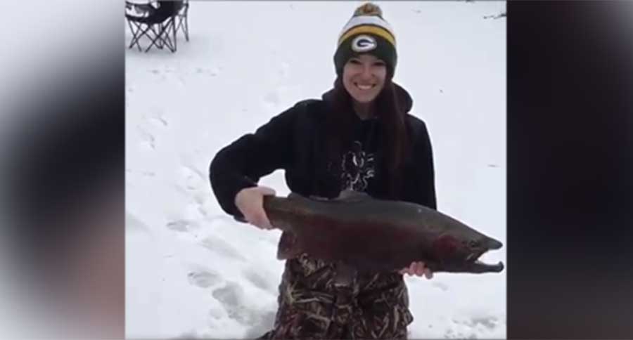 brute steelhead