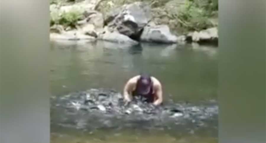 catching fish with shirt