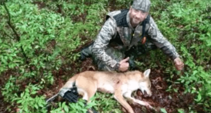 mathews bow