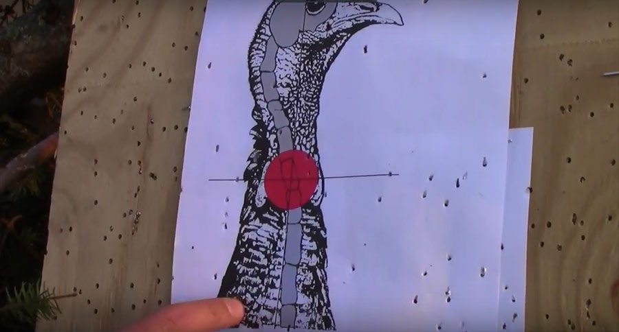 pattern shotgun turkey