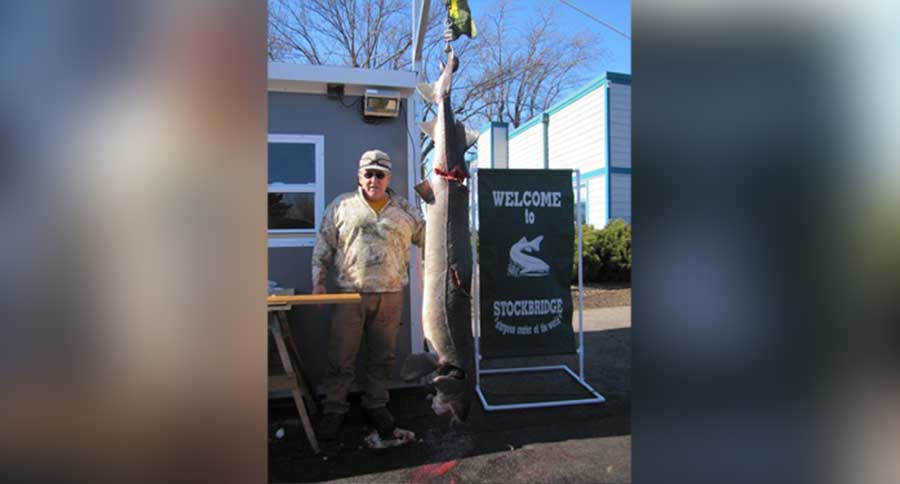 wisconsin sturgeon