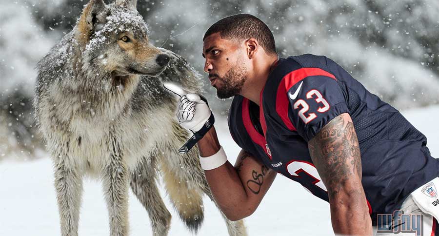 wolf foster