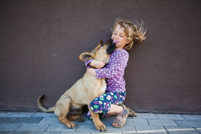 Little girl giving hugs to her puppy, the dog is licking her