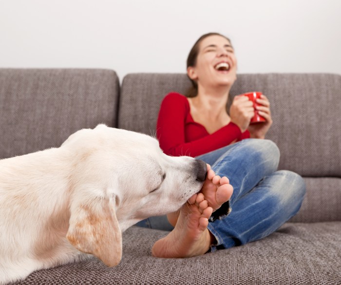 Woman drinking coffee on the sofa with her dog licking her toes