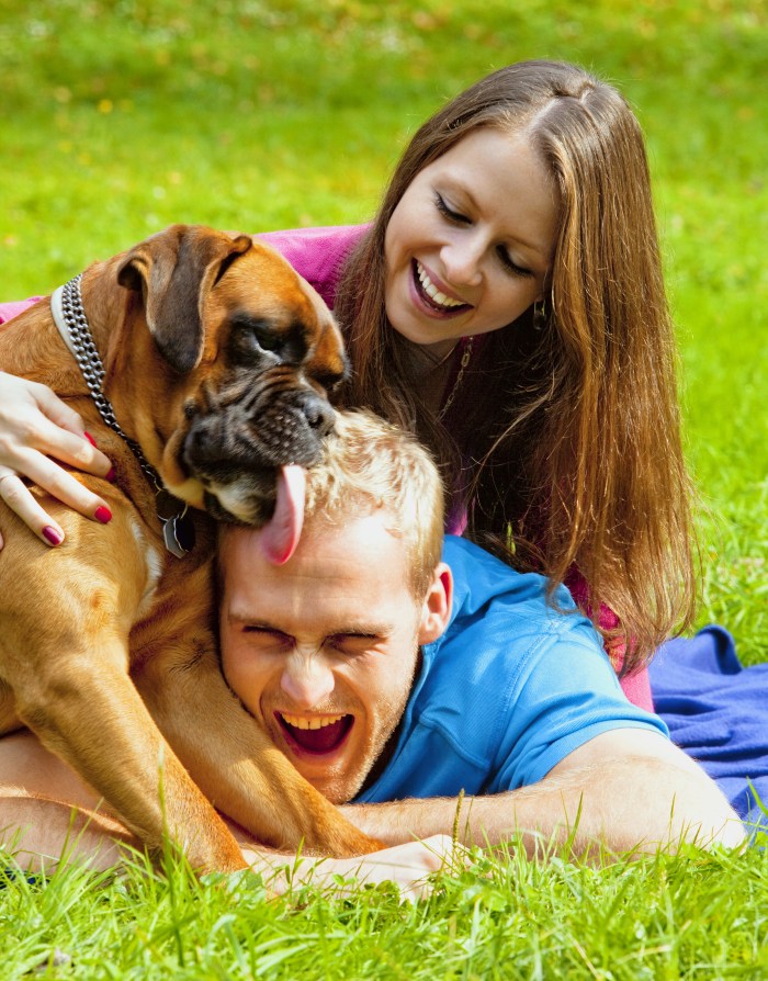 Happy Young Couple Playing with their Dog in the Park.