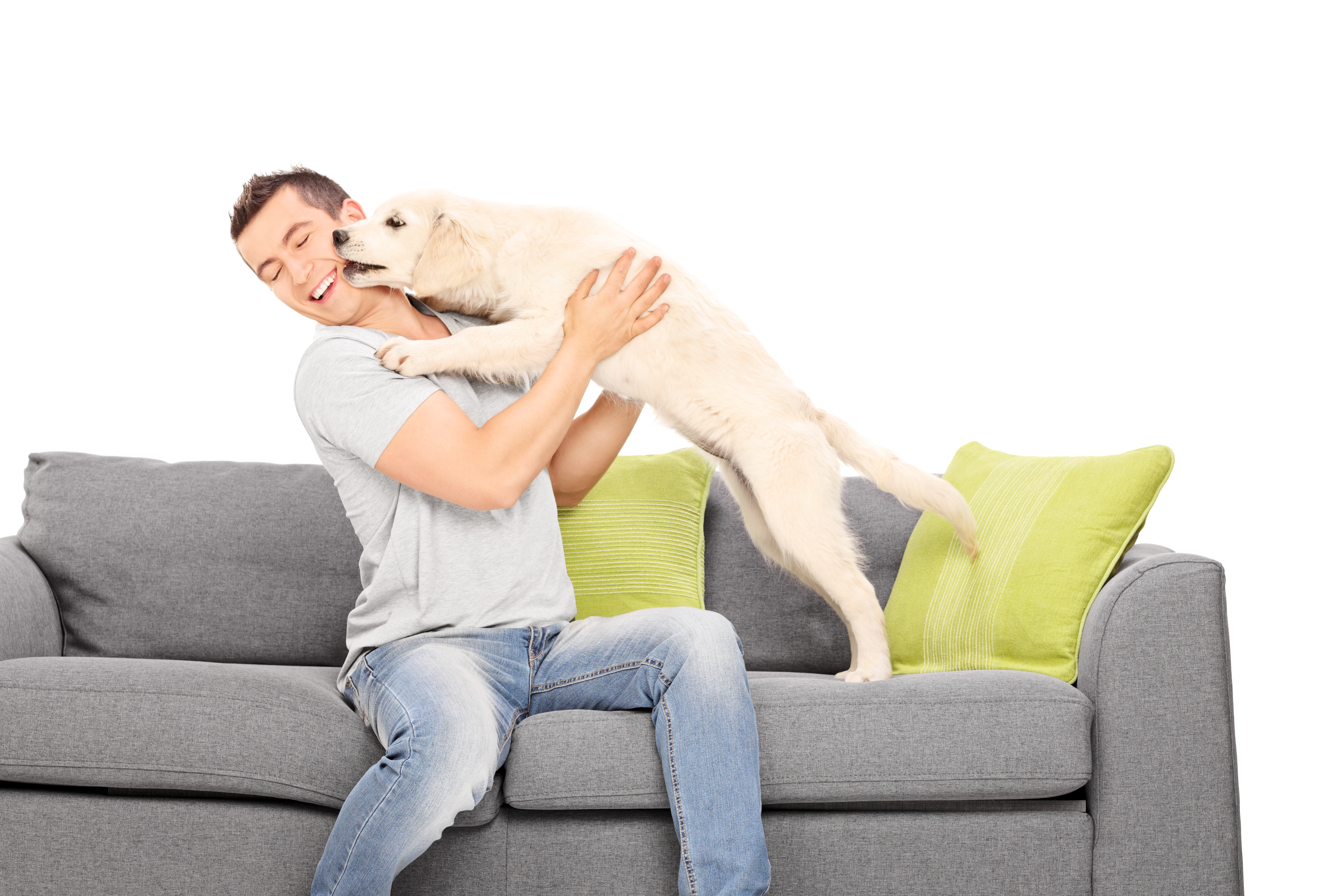 Man playing with a puppy seated on sofa isolated on white background
