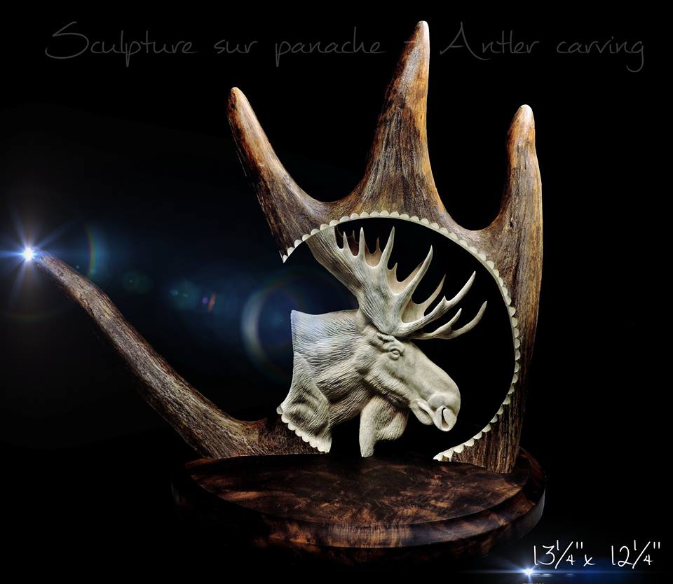 moose antler carving