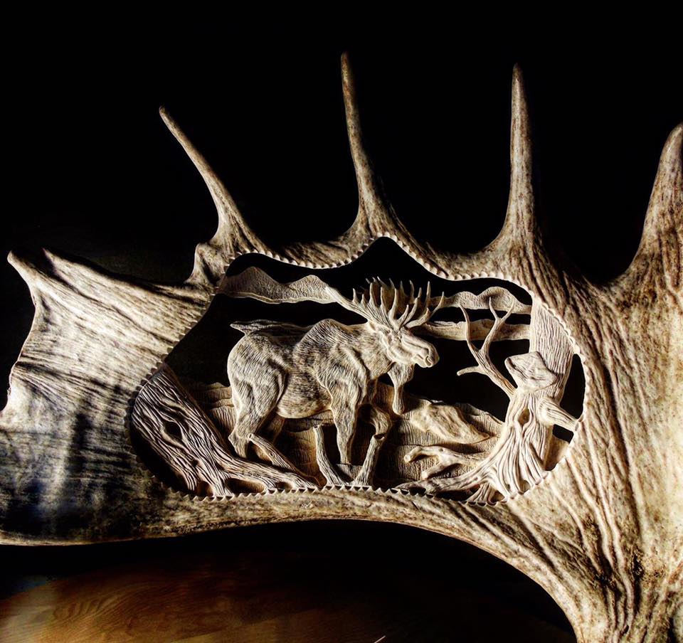 moose antler carving