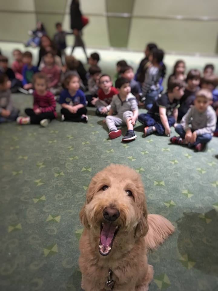 therapy dog with children