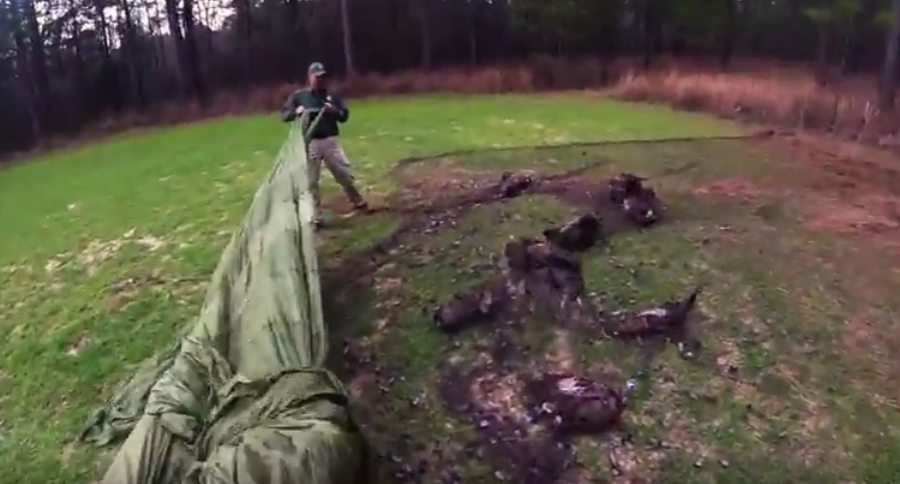 turkey tracking research project