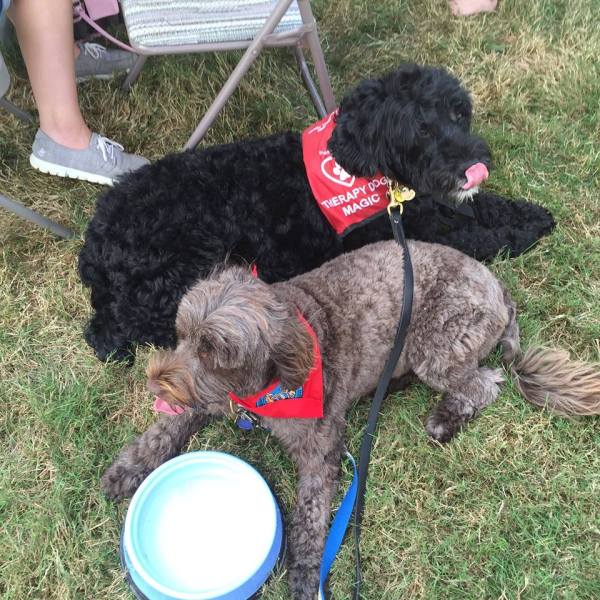 grief therapy dogs