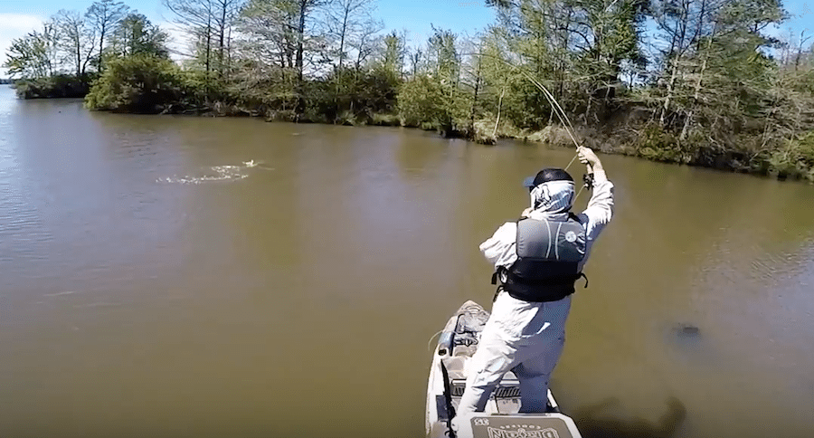 grass carp on the fly