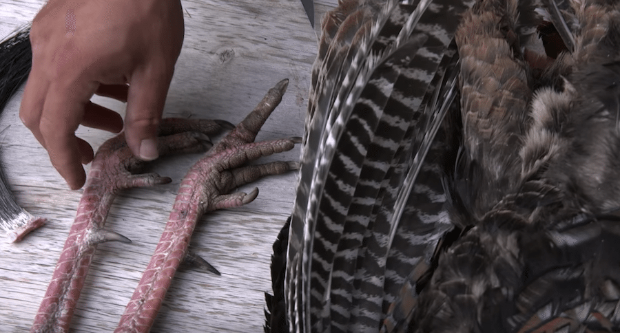 clean a turkey