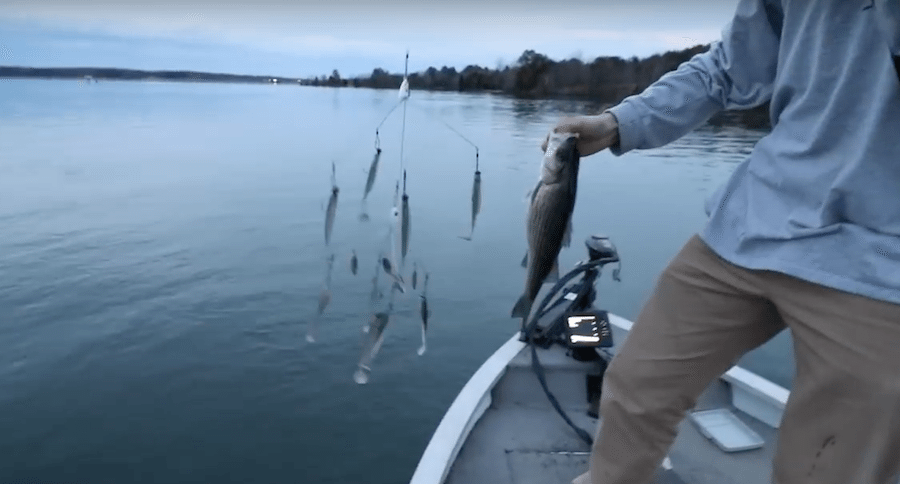 alabama rig