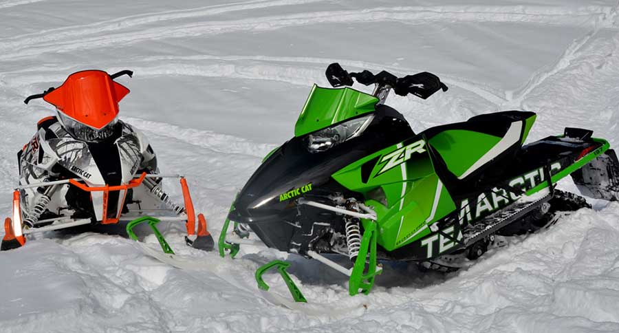 arctic cat