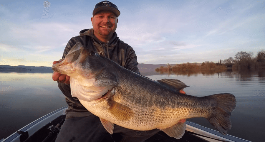 11-pound largemouth