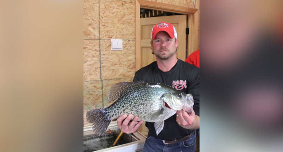 Gigantic 4 lbs 8.8 oz State Illinois Record Crappie Confirmed a