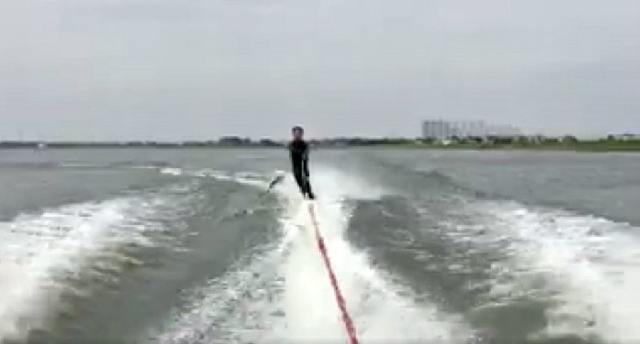 flying fish
